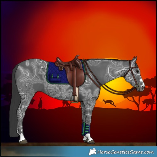 Horse Color:Black Ice 