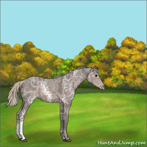 Horse Color:White Spotted Silver Black Ice 