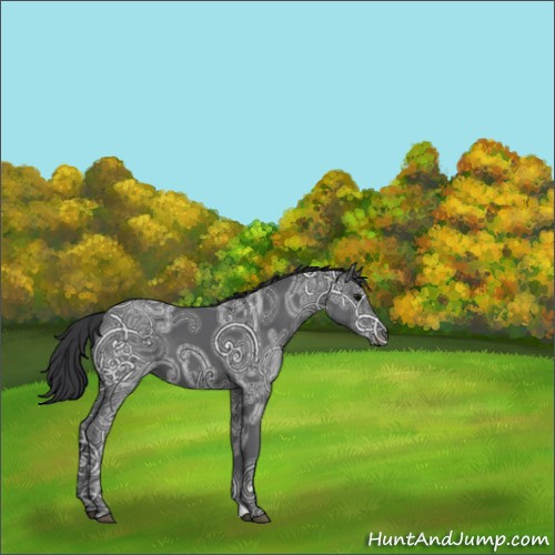 Horse Color:Black Ice 