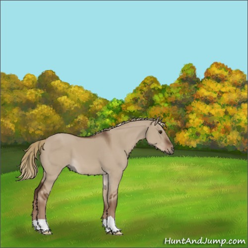 Horse Color:Liver Red Dun 