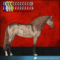 Horse Color:Liver Red Dun Brindle 