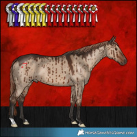 Horse Color:Liver Red Dun Brindle 