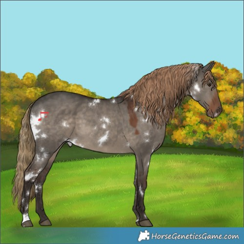 Horse Color:White Spotted Liver Red Dun 