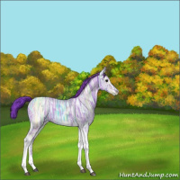 Horse Color:Watercolor Black Ice Tobiano Frame Rabicano 