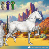 Horse Color:Cremello Near Leopard 