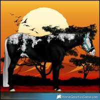 Horse Color:White Spotted Brown Ice Splash 