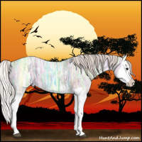 Horse Color:Silver Grullo Ice Splash 