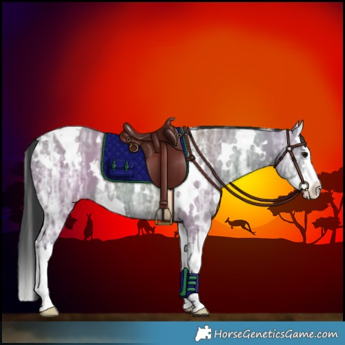Horse Color:White Spotted Grullo Ice Splash 