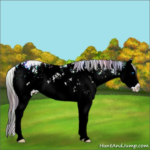 Horse Color:Brown Ice Dun Sabino Splash  and Nacre Brown Ice Dun Sabino Splash 