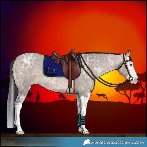 Horse Color:Brown Ice Dun Splash 