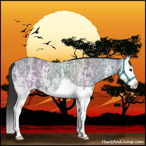 Horse Color:Black Ice Splash 