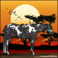 Horse Color:White Spotted Midnight Grullo Ice 