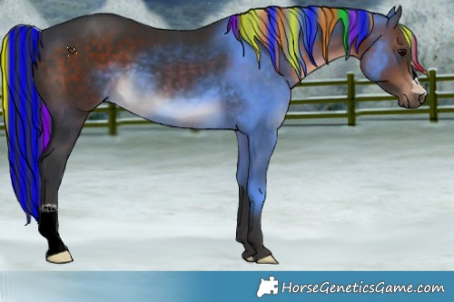 Horse Color:Painted Brown 