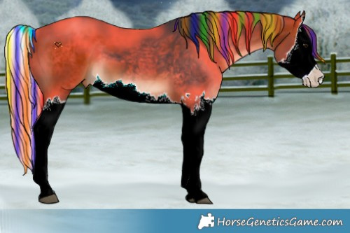 Horse Color:Painted Brown Splash 