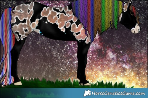 Horse Color:Painted Brown Dun Splash Appaloosa