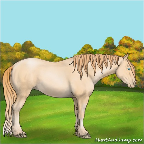 Horse Color:Buckskin Pearl 