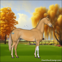 Horse Color:Palomino 