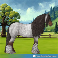 Horse Color:Liver Red Roan Tobiano 