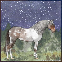 Horse Color:White Spotted Liver Red Roan Rabicano 