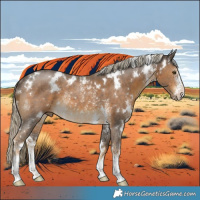 Horse Color:White Spotted Chocolate Palomino Sabino Rabicano
