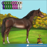 Horse Color:Liver Chestnut 