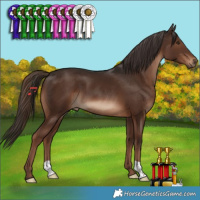 Horse Color:Liver Chestnut 