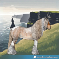 Horse Color:Chocolate Palomino Roan Tobiano