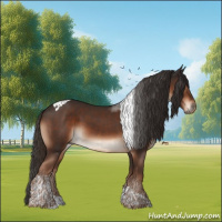 Horse Color:Liver Chestnut Tobiano 