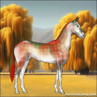 Horse Color:Plaid  White Spotted Liver Red Onyx Tobiano