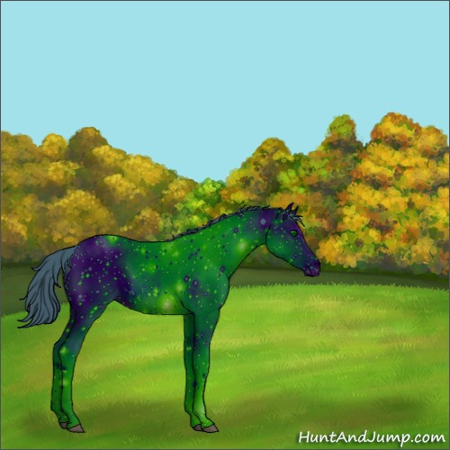 Horse Color:ERROR: UNKNOWN ANOMALY