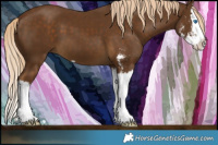 Horse Color:Chocolate Palomino Sabino Splash 