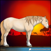 Horse Color:Buckskin Pearl 