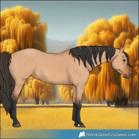 Horse Color:Bay Dun