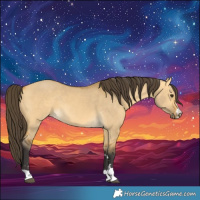 Horse Color:Buckskin Dun 