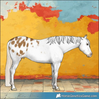 Horse Color:Chocolate Palomino Dun Appaloosa Brindle 