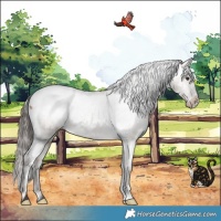 Horse Color:Liver Red Dun Varnish Brindle 