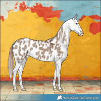 Horse Color:Liver Red Dun Appaloosa Brindle