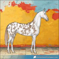 Horse Color:Liver Red Dun Appaloosa Brindle 