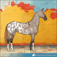 Horse Color:Liver Red Dun Blanket Brindle