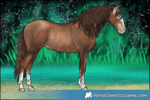Horse Color:Gray Liver Chestnut Pearl Rabicano 