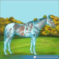 Horse Color:Thunderstruck Chestnut Tobiano 