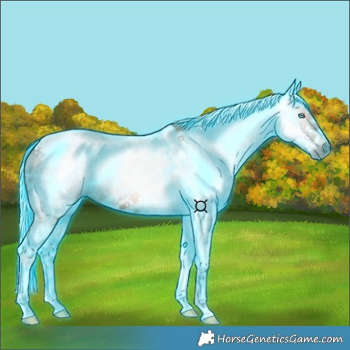 Horse Color:Gray Thunderstruck Silver Bay Splash Tobiano 
