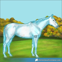 Horse Color:Gray Thunderstruck Silver Bay Splash Tobiano 