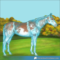 Horse Color:Thunderstruck Silver Bay Splash 