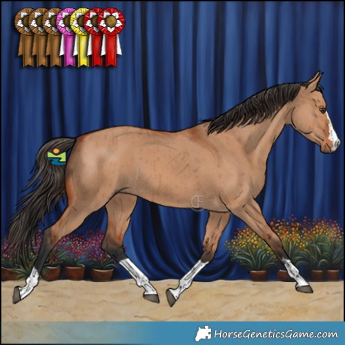 Horse Color:Bay Dun Brindle 