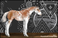 Horse Color:Silver Bay Sabino Rabicano 