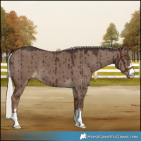Horse Color:Liver Red Dun Mushroom Brindle 