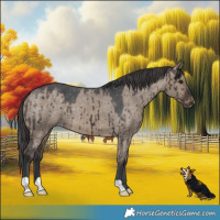 Horse Color:Brown Dun Varnish Brindle 