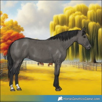 Horse Color:Grullo Appaloosa Brindle 