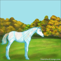 Horse Color:Thunderstruck Chestnut Ice Pearl Splash 
